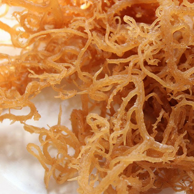 Sea Moss May Be the Most Important Ingredient You'll Ever Read About